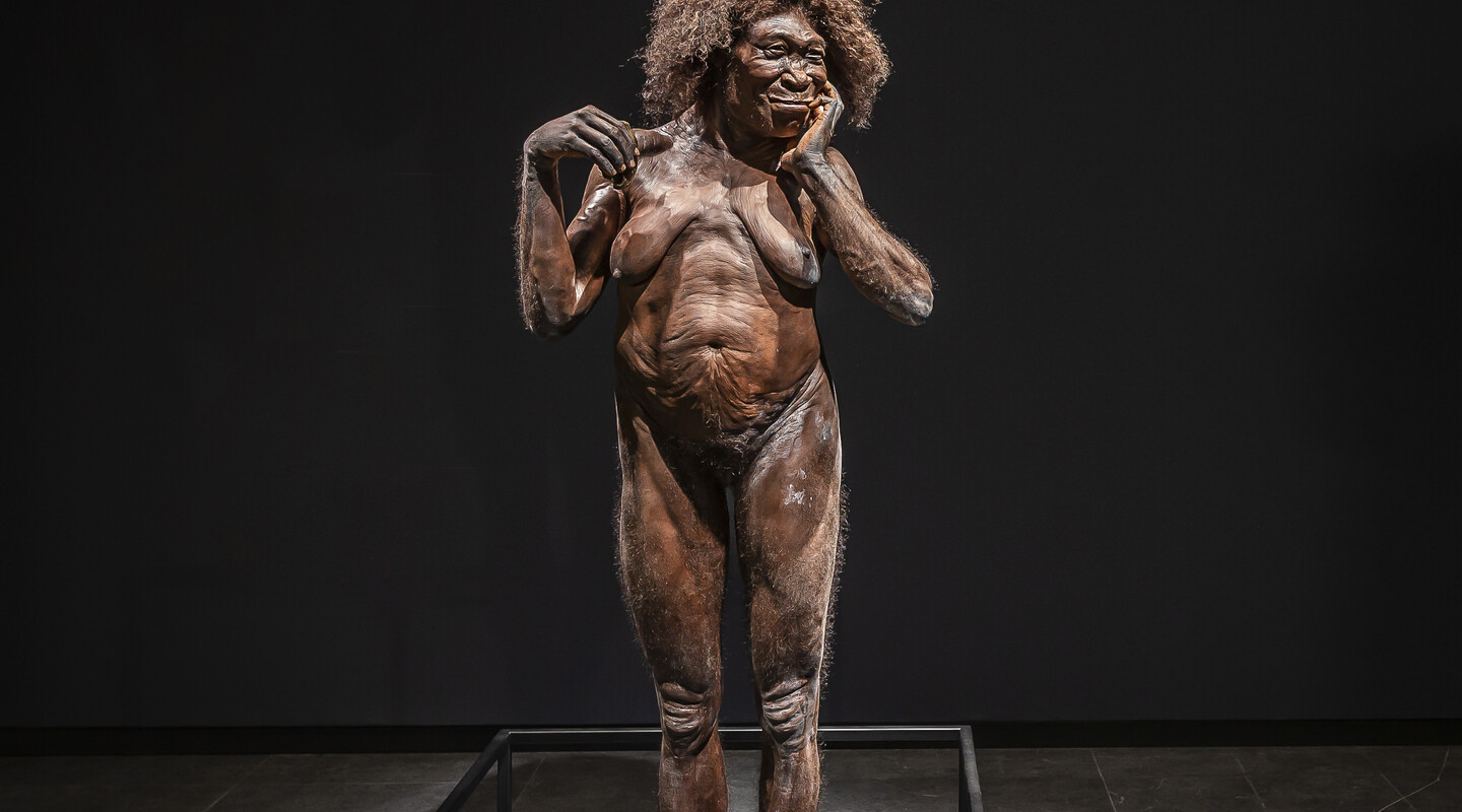 Een beeld van Homo erectus
