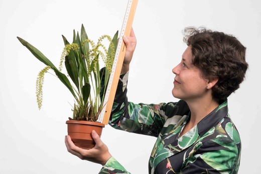 Esmée Winkel meet een orchidee op.
