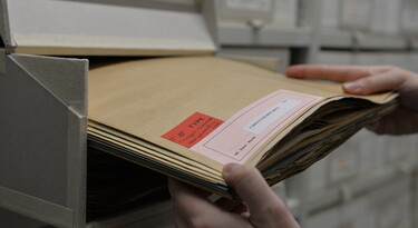 Een stapel documenten met een holotype sticker erop