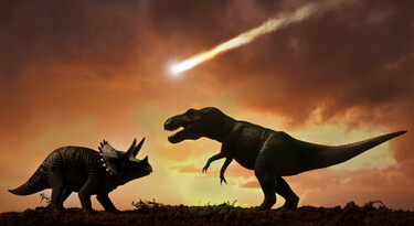 Een triceratops (links) en een T.rex (rechts) zien de meteoriet aankomen.